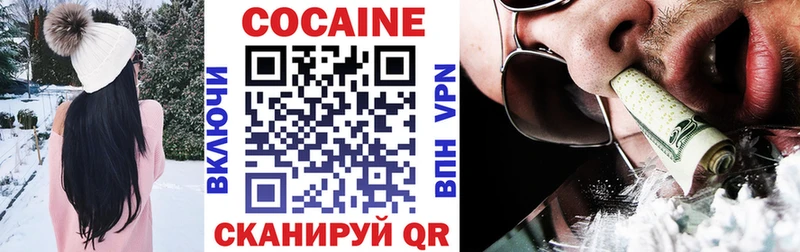 Купить  Судак  COCAIN Fish Scale 