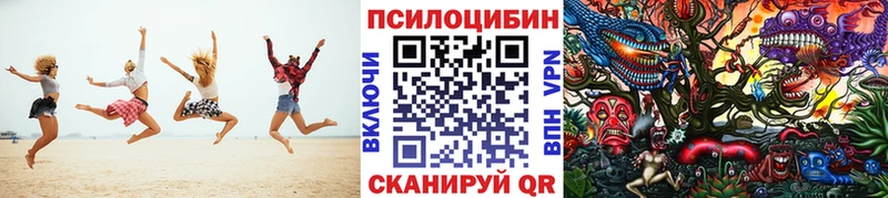 Галлюциногенные грибы ЛСД Судак