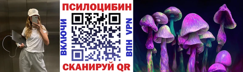 Псилоцибиновые грибы прущие грибы  Купить закладки  Судак 
