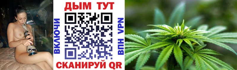Купить где  Судак  Канабис White Widow 